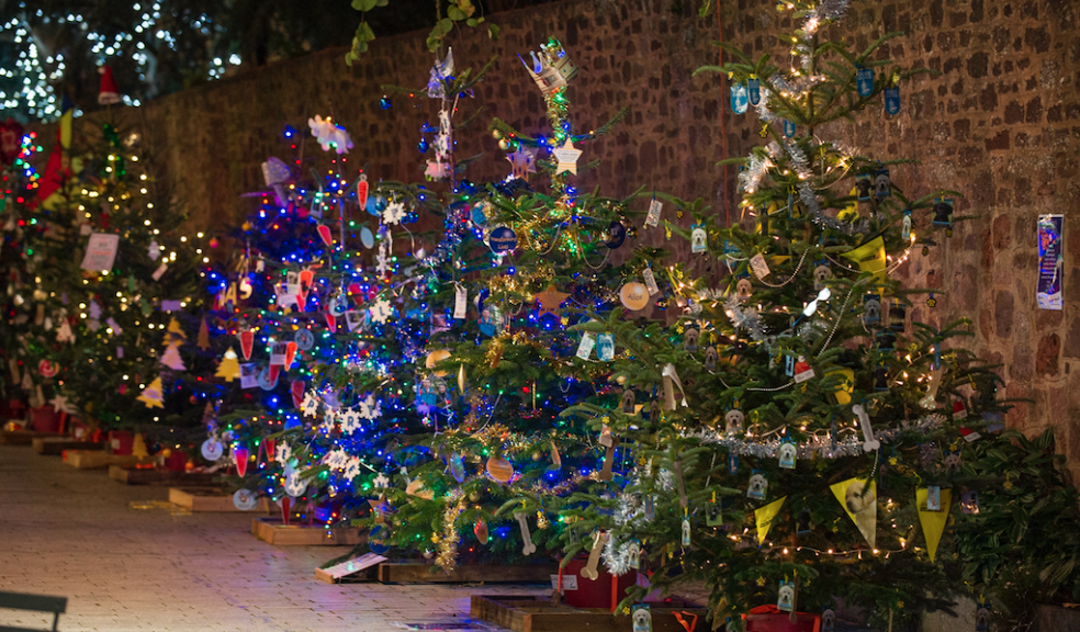 Charities set to light up Princesshay this Christmas The Exeter Daily